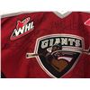 Image 2 : 2001 1ST SEASON AUTHENTIC VANCOUVER GIANTS TEAM  AUTOGRAPHED HOCKEY JERSEY (REEBOK)