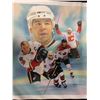 Image 1 : JEROME IGINLA 24" X 20 CANVAS ART BY JIANHONG