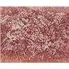 Image 1 : Hans Burkhardt (1904-2001) Swiss, UNTITED, 1983, color lithograph, signed in pencil, from the n...