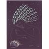 Image 1 : Kudo Muramasa (20th Century) Japanese, SHELL, color lithograph, signed in pencil, from the numb...