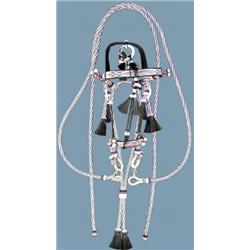 Horsehair Headstall Montana Prison