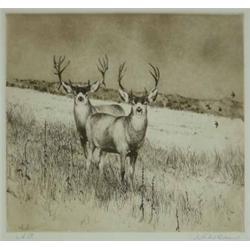 Michael Coleman - Etching