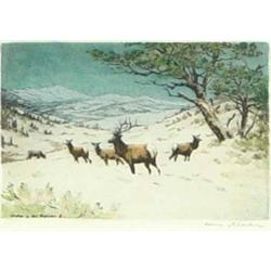 Hans Kleiber - Hand Colored Etching