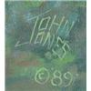 Image 3 : John Jones - Oil on Canvas