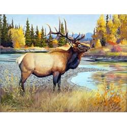 Elmer Sprunger - Oil on Canvas