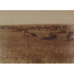 Edward Sheriff Curtis - Photogravure