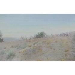 L. A. Huffman - Hand Colored Photo