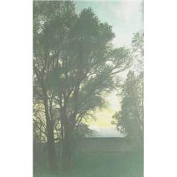 Joseph Stimson - Hand Tinted Photo