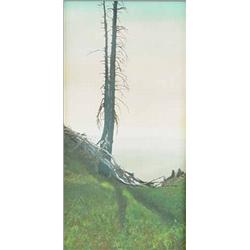 Joseph Stimson - Hand Tinted Photo