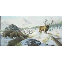 Don Crook - Oil on Board