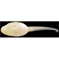 Plains Indian Horn Spoon