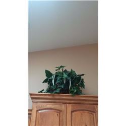 Artificial Plants (5)