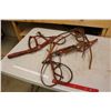 Image 1 : Leather Halter And Bridle