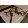 Image 2 : Leather Halter And Bridle