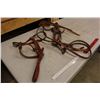 Image 3 : Leather Halter And Bridle