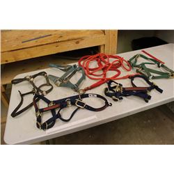 Lot Of Nylon Halters (5)