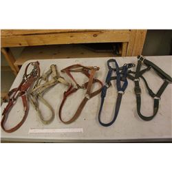 Lot Of Nylon Halters (5)