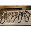 Image 1 : Lot Of Nylon Halters (5)