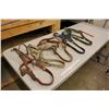 Image 2 : Lot Of Nylon Halters (5)
