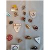 Image 2 : 100+ Collectors Pins
