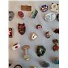 Image 3 : 100+ Collectors Pins