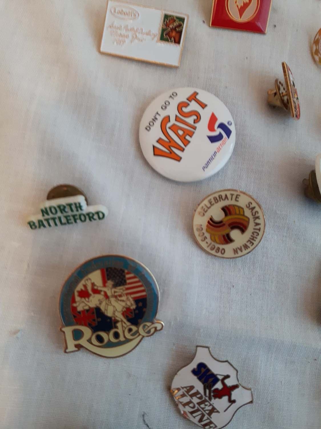 100 Collectors Pins 100 Collectors Pins