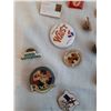 Image 4 : 100+ Collectors Pins