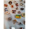 Image 5 : 100+ Collectors Pins