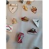 Image 8 : 100+ Collectors Pins
