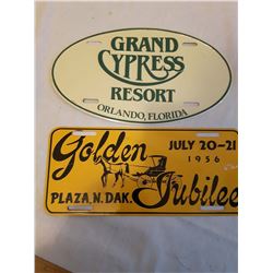 Pair Of Vintage License Plates