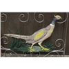 Image 2 : Vintage Metal Goose Gate