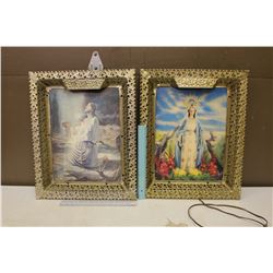 Pair of Framed Pieces