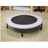 Image 1 : Personal Trampoline, 38" Wide