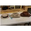 Image 2 : Cowboy Hats (3)