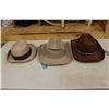 Image 3 : Cowboy Hats (3)