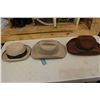 Image 4 : Cowboy Hats (3)