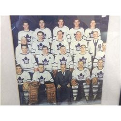 Toronto Maple Leafs Team Picture 1955