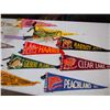 Image 3 : Small Vintage Wool Pennants (13)