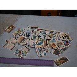 Box Of Brooke Bond Tea Animal Cards