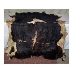 Leather cow hide shawl