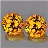 Natural Yellow Sapphire Pair 4.50 MM - VVS