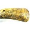 Image 2 : Antique Etched Powder Horn