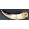 Image 1 : Antique Powder Horn