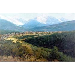 Jim Needham - Oil on Canvas