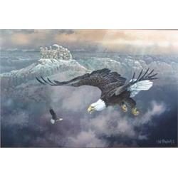 Ted Blaylock - Oil on Board