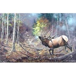 Ted Blaylock - Oil on Board