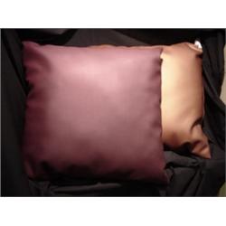 Set of 4 Accent Pillows