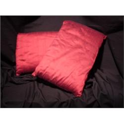 Set of 2 Accent Pillows