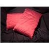 Image 1 : Set of 2 Accent Pillows