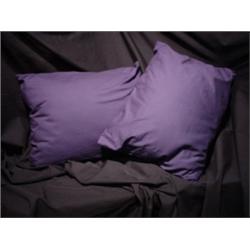 Set of 2 Accent Pillows